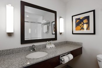 Holiday Inn Express & Suites Omaha South - Ralston Arena