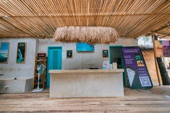 Mad Monkey Hostel Nacpan Beach