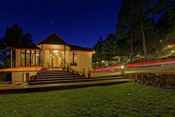 Arcadian Blue Pines