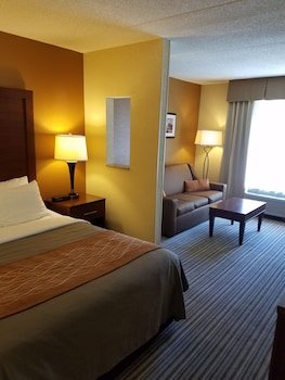 Comfort Inn at the Park
