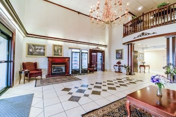 Ark Suites