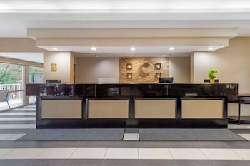 Comfort Suites Inn At Ridgewood Farm
