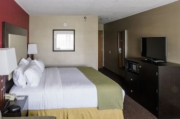 Holiday Inn Big Rapids