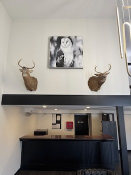 Guest Lodge