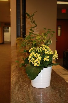 University of Alberta - Hotel