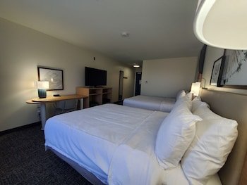 Spark by Hilton Lansing