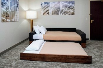 SpringHill Suites Frankenmuth