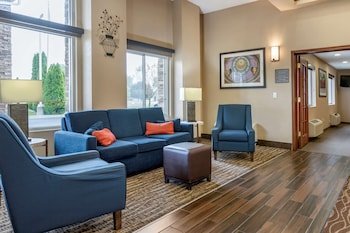 Comfort Inn & Suites Dimondale - Lansing