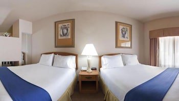 Holiday Inn Express & Suites Mission (McAllen Area)
