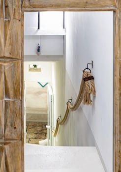 B&B Fico D'India