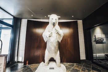 The Explorer Hotel
