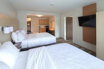 Holiday Inn Express Hotel & Suites Detroit - Utica