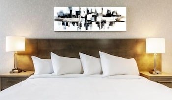 Repotel Levis