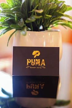 Hotel Puma
