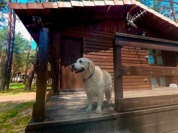 Camping Urbion