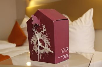 Sure Hotel by Best Western Bad Dürrheim
