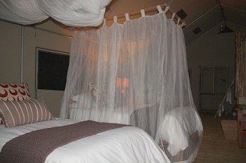 Miombo Safari Camp