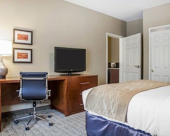 Comfort Inn & Suites Sturbridge-Brimfield