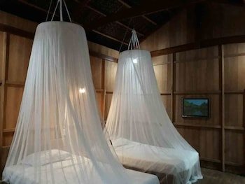 Coconut Homestay