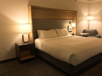 Holiday Inn Hotel & Suites Mckinney-Fairview
