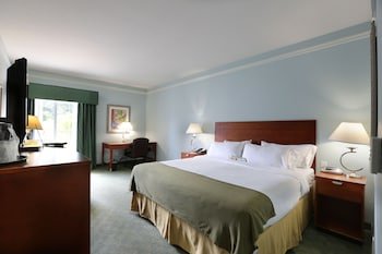 Holiday Inn Express Tampa North - Telecom Park