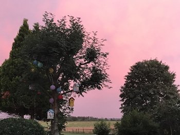 Bed & Breakfast Worpsweder Blick