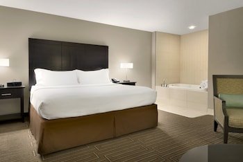 Holiday Inn Hotel & Suites Duluth-Downtown
