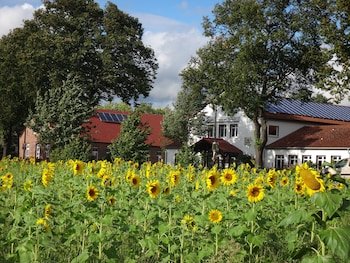Gasthaus & Pension Wagner