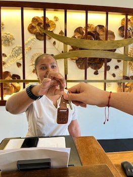 Santo Manglar Cartagena Life Wellness Spa Hotel