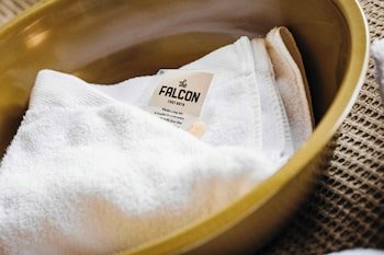 The Falcon Hotel