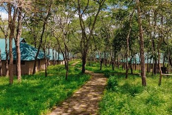 Mikumi Safari Lodge