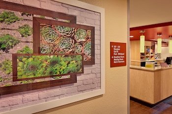 TownePlace Suites Albany Downtown/Medical Center