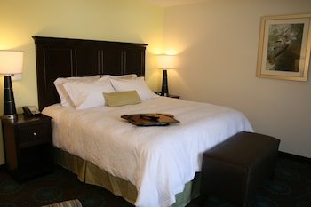 Hampton Inn and Suites Wilder