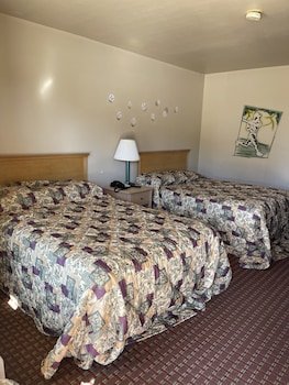 All Star Inn Bunkie