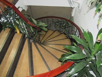 Hotel Ejecutivo