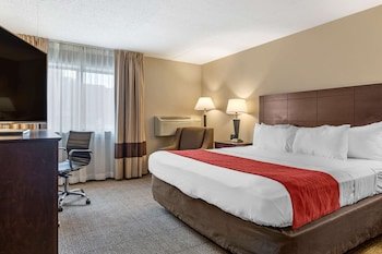 Comfort Inn Lansing