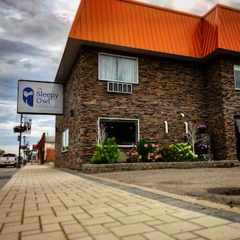 The Sleepy Owl Hotel