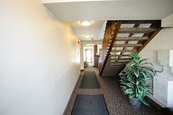 The Sleepy Owl Hotel