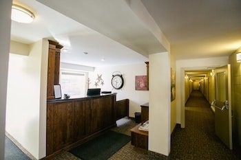 The Sleepy Owl Hotel