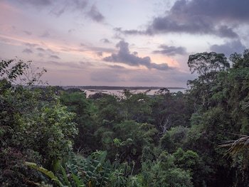 La Loma Jungle Lodge & Chocolate Farm