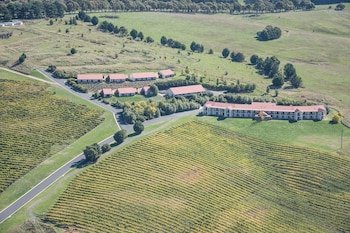 Turners Vineyard
