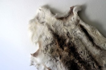 Kangerlussuaq