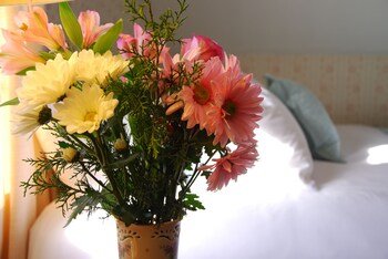 Spring Hill Inn