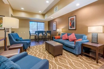 Comfort Inn & Suites Galt - Lodi North