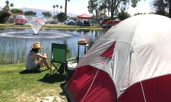 Shadow Hills RV Resort - A Cruise Inn Park