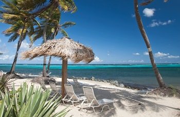 Colony Cove Beach  Resort