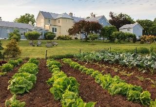 L'Auberge Provencale Bed & Breakfast