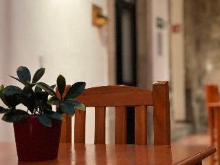 Casa Aura Morelia