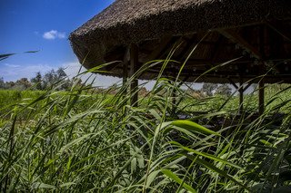 Green Village Resort