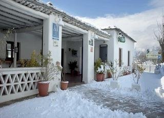 La Oveja Verde